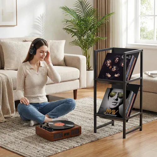 Miniatura 5 de Soporte de almacenamiento de discos de vinilo de metal negro de 2 niveles para colección Conceptual Design, Sturdy Black Metal Frame, 2-Tier