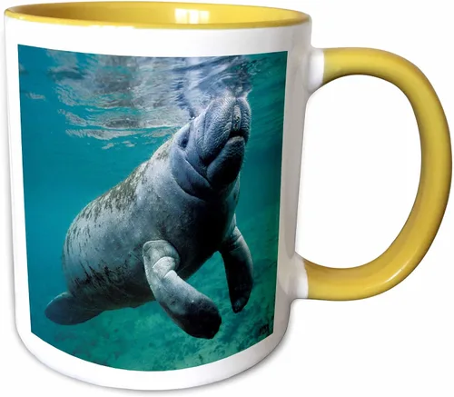Miniatura 10 de 3dRose, Taza negra bicolor de 11 oz, negro/blanco