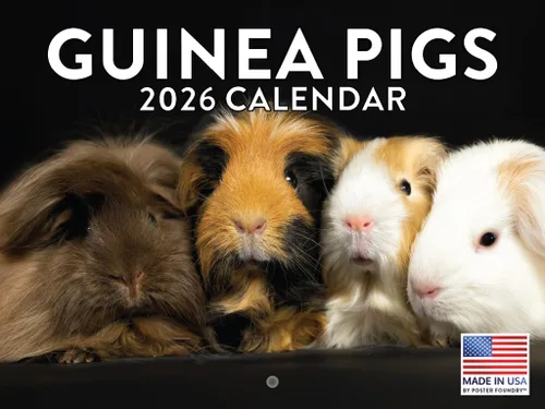 Miniatura 162 de Calendario alpaca 2026, calendario mensual de pared de 12 meses Hecho en Estados Unidos.