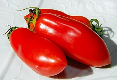 Miniatura 3 de Más de 30 semillas de tomate italianas en pasta San Marzano, sin OMG, indeterminadas, polinizadas abiertas, productivas, deliciosas, de Estados