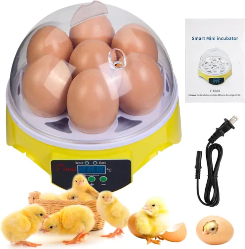 Mini incubadora de huevos de 7 huevos con vista de 360°, kit educativo para eclosionar para niños, aulas y familias, control automático de