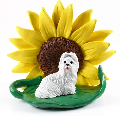 Conversation Concepts Figura blanca Shih Tzu – Regalo de estatua de girasol: escultura realista pintada a mano, decoración de escritorio de verano o