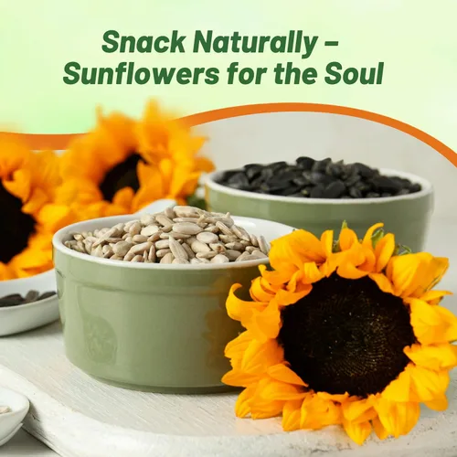 Miniatura 5 de Outsidepride Semillas de girasol silvestres para plantar, 1000 piezas anuales, fáciles de cultivar semillas de flores con flores vibrantes