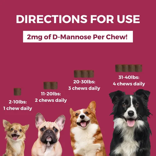 Miniatura 3 de Nootie Progility - Mini suplemento de apoyo urinario para perros, soporte de vejiga y soporte del tracto urinario para perros con arándano