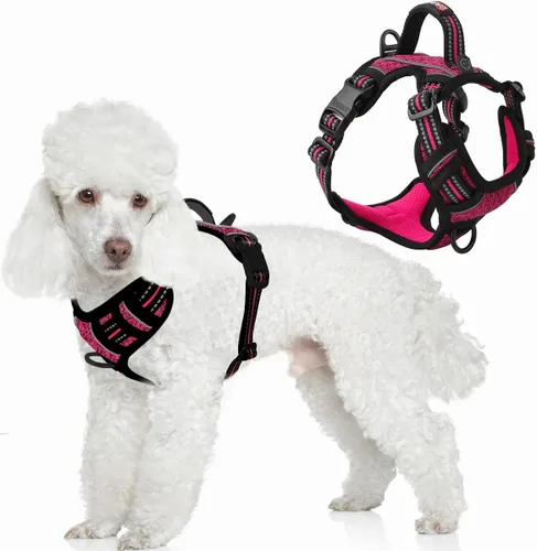 Miniatura 53 de BARKBAY Arnés para perro sin tirones con bolsillo para etiqueta de identificación, resistente, reflectante, fácil control para perros grandes