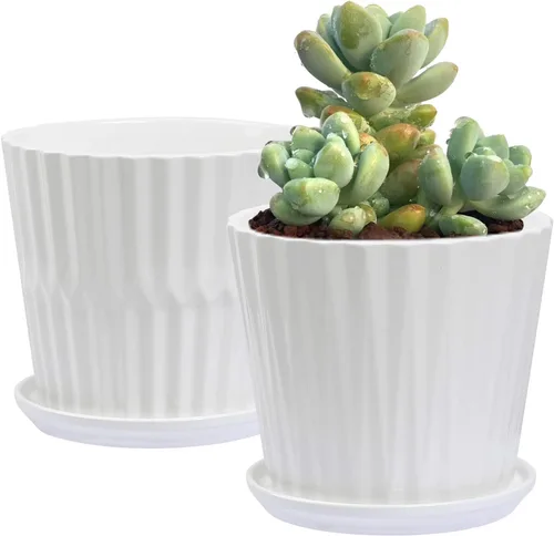 sietpoek Macetas – Macetas cilíndricas de cerámica de 6.7 pulgadas con platillo conectado, macetas para plantas Succuelnt y pequeñas serpientes,