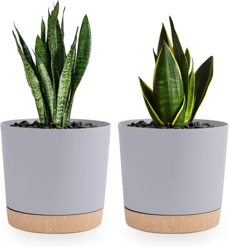 Miniatura 30 de QCQHDU Maceta de 8 pulgadas, paquete de 2 macetas para plantas de interior con agujeros de drenaje y platillo, macetas para exteriores, decoración