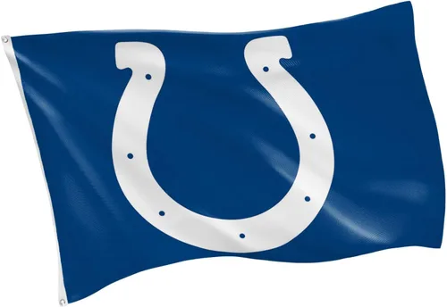 Miniatura 32 de Team Sports America NFL Buffalo Bills - Bandera duradera de 3 x 5 para exteriores con ojales, bandera y pancarta resistentes para jardín al aire