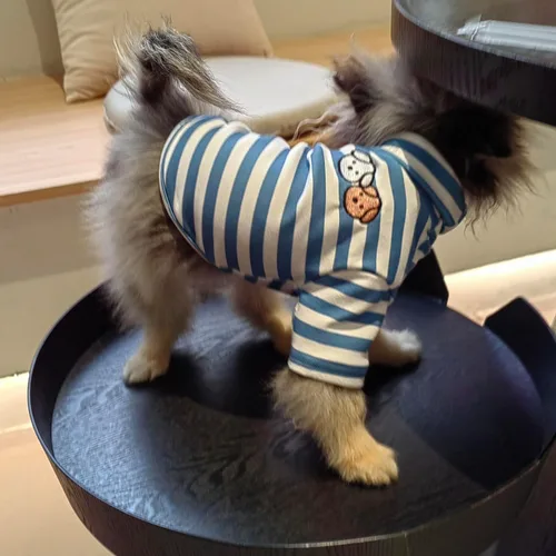 Miniatura 2 de Camisa de cuello alto para perro, lindo bordado de perrito, sudadera súper suave para perro, jersey elástico a rayas para cachorro, para gatos