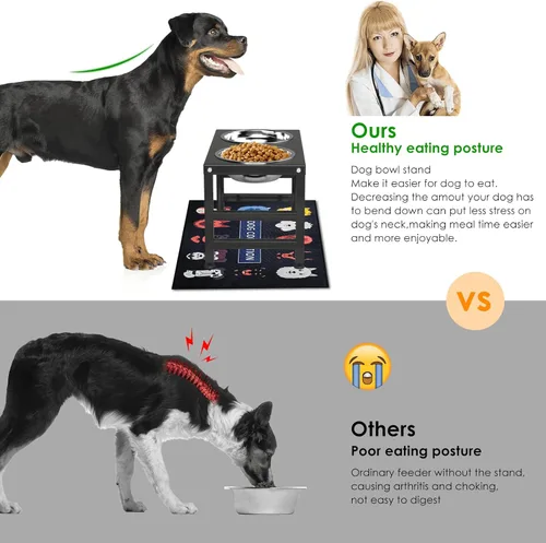 Miniatura 2 de ADENGL Cuenco elevado de metal para perros, soporte elevado para comedero de perros de 10" de alto con 2 cuencos de acero inoxidable de 42oz