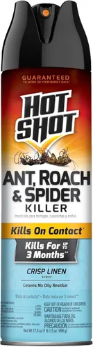 Miniatura 10 de Hot Shot Asesino de hormigas, cucarachas y arañas, 17.5 onzas, mata cucarachas y hormigas listadas en contacto, insecticida en aerosol
