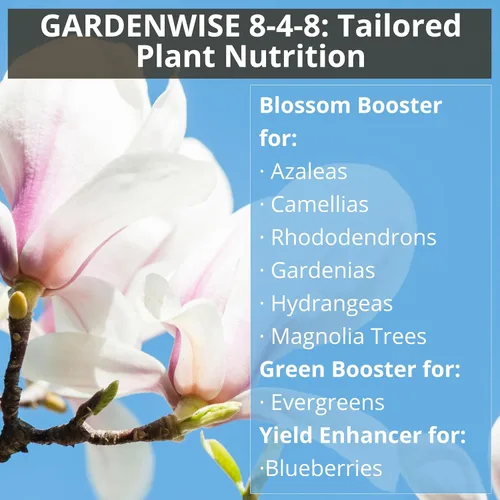 Miniatura 4 de GARDENWISE 8-4-8 Fertilizante ácido para azaleas, camelias (camelia), hortensias, arándanos, gardenias, árboles de magnolia, plantas de hoja perenne