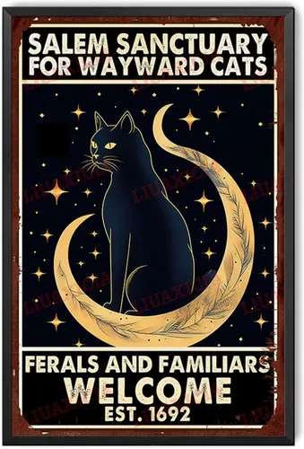 Letrero de metal de hojalata Salem Sanctuary para gatos Wayward Ferals and Familiars, letrero de metal de hojalata para hombre, decoración de pub, 8