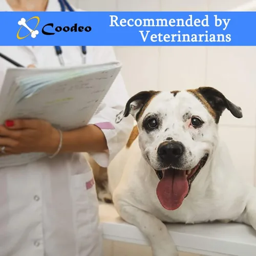 Miniatura 3 de Coodeo Arnés de elevación para perros, soporte para mascotas y rehabilitación con correa ajustable para chaleco acolchado transpirable, correas