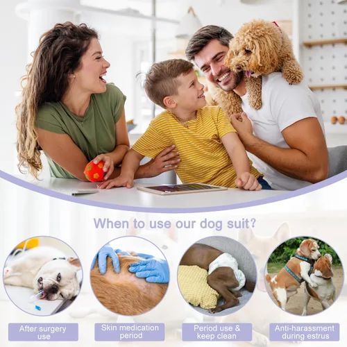 Miniatura 5 de Etdane Pañales para perros, bragas sanitarias para el período fisiológico, trajes de recuperación quirúrgica para perros machos y hembras, koala