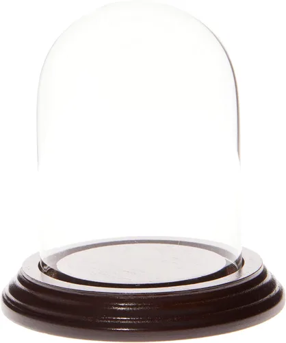 Miniatura 8 de Plymor Cúpula de cristal de 3" x 4" (base de chapa de roble)