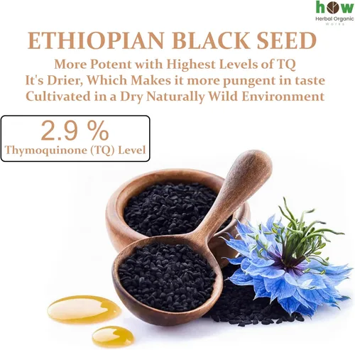 Miniatura 8 de Aceite de semilla negra etíope de 16 onzas – Nigella sativa prensada en frío Aceite de semilla de comino negro de alta timoquinona al 3.45%