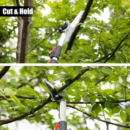 Miniatura 2 de Podadoras de árbol de 4.6-10 pies, podadora de mango largo con sierra de poste de largo alcance, podadora de árbol extensible, recortadora de poda