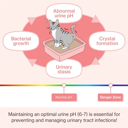 Miniatura 5 de Doctor By UT Care Cat - Suplemento urinario de apoyo renal para UTI de gatos, tratamiento con arándano para la salud renal de gatos con Pacran