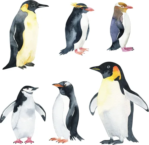 Miniatura 2 de Calcomanías de pingüino de tamaño real, juego de 6 calcomanías de pared realistas de pingüinos