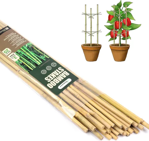 Miniatura 14 de Cambaverd Varillas de bambú para plantas, estacas de bambú de 2 pies para jardinería interior, estacas para plantas en maceta, mini árboles, estacas