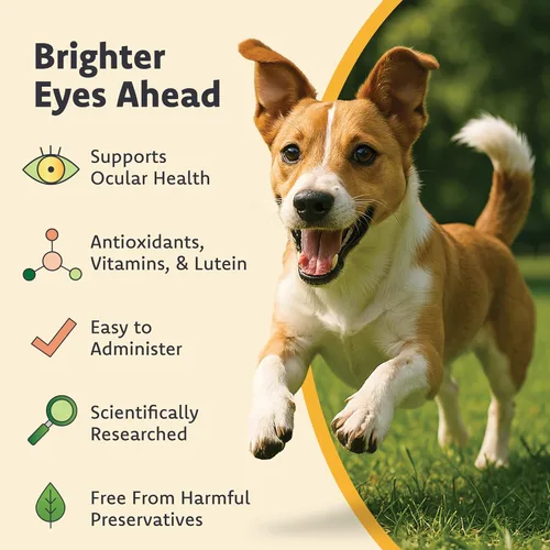 Miniatura 4 de Ocu-GLO Suplemento PB Vision para perros medianos y grandes: mezcla de polvo fácil de administrar con luteína, ácidos grasos omega-3, extracto