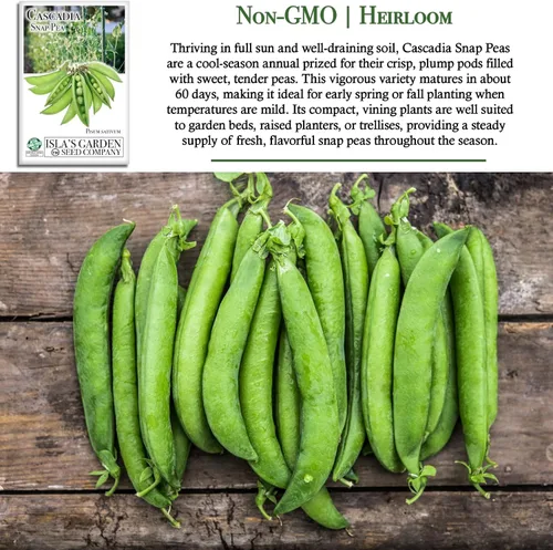 Miniatura 3 de Cultiva crujientes y dulces guisantes cascadia: más de 50 semillas de reliquia sin OMG de Isla's Garden Seeds, cápsulas tiernas para aperitivos