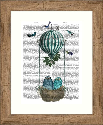 Amanti Art Fab Funky - Póster enmarcado para pared, diseño de nido de globo de búho de 24 x 20 pulgadas, arte de pared de animales, decoración