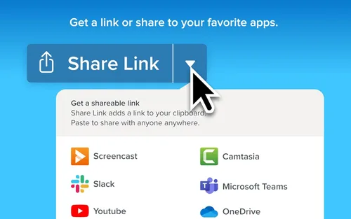 Miniatura 5 de Snagit 2024 - Screen Capture & Image Editor [PC/Mac Online Code]