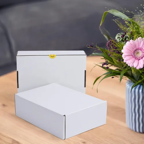 Miniatura 6 de HORLIMER - Cajas de envío de 10 x 7 x 3 pulgadas, conjunto de 25, caja de cartón corrugado blanca para envío de literatura por correo, 25 pegatinas