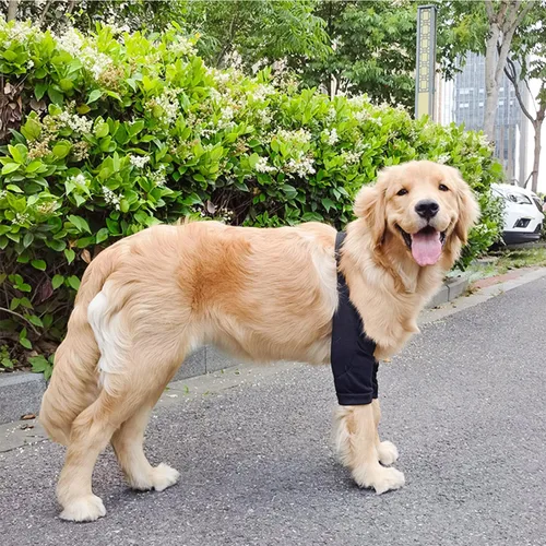 Miniatura 4 de HDKUW Protector de codo para perros para callos, traje de recuperación para patas delanteras, alternativa al collar de cono para perros para dejar