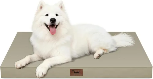 Miniatura 81 de Cama ortopédica de felpa para perros y cachorros medianos, camas impermeables para perros de 30 x 20 pulgadas con funda extraíble lavable, tapete