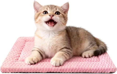 Miniatura 11 de Alfombrilla para Cama de Perro – Almohadilla de Perrera Suave y Cómoda para Jaula – Cama y Almohadilla Duradera para Perros y Gatos – Ideal para Gris