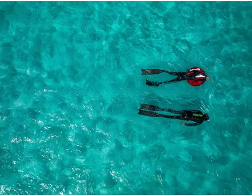 Miniatura 3 de MARES X-Wing Short Freediving Fins Durable High-Performance Swimming Flippers for Freediving & Spearfishing