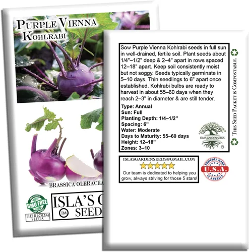 Miniatura 7 de Purple Vienna Semillas de colinabo (Brassica oleracea var. gongylodes) – Más de 300 semillas de reliquia sin OMG de Isla's Garden Seeds, bulbos