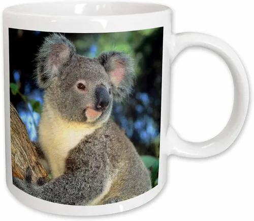 Miniatura 12 de 3dRose Oso de koala, Australia, árbol de eucalipto - SA01 KSC0000 - Kevin Schafer - Taza negra de dos tonos de 11 oz