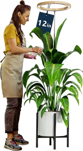 Miniatura 10 de Luces de cultivo de 10 pulgadas para plantas de interior de espectro completo, 160 luces LED grandes para plantas de interior, lámpara de cultivo