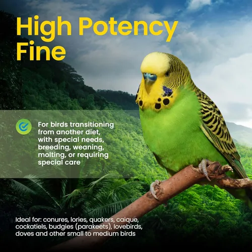 Miniatura 5 de Harrison's Bird Foods Fórmula fina de alta potencia, orgánica certificada, sin OMG para aves pequeñas a medianas, pellets de grado humano para muda