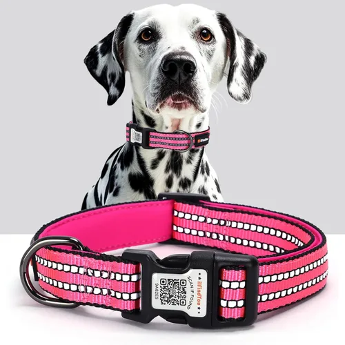 Miniatura 17 de Collar Reflectante para Perro, Collares Personalizados para Perro con Hebilla de Código QR, Collar de Nailon Suave para Mascotas Ajustable para Camo