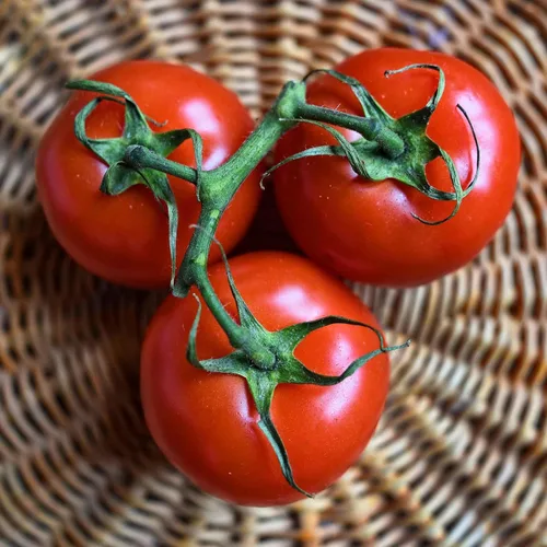 Miniatura 12 de Eden Brothers Semillas de tomate – Semillas de caqui sin OMG para plantar, paquete Semillas de vegetales de bajo mantenimiento, plantas durante