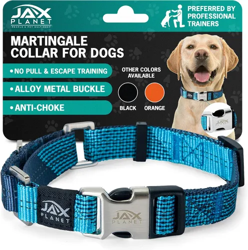 Miniatura 14 de Collar Martingale para perros, collar de entrenamiento para perros sin tirones y antideslizante, nailon resistente para caminar activamente, hebilla
