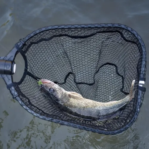 Miniatura 5 de KastKing Red de pesca Brutus, red de aterrizaje de peces plegable y extensible, red de pesca ligera y portátil con mango de espuma EVA suave