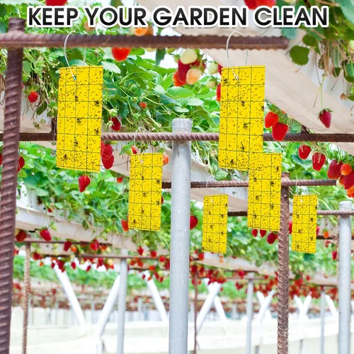 Miniatura 3 de Qualirey 300 Trampa Adhesiva para Mosquitos 3 x 5'' Trampa Adhesiva de Doble Cara para Moscas de la Fruta con Atadura para Planta para Insectos