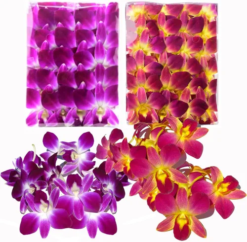 Miniatura 11 de Miami Fresh Orchid Flower OrchidClub USA Sunne Tropical Loose Bloom DIY Lei, decoración de alimentos y bebidas (50 amarillos)