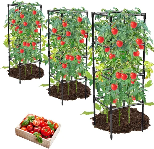 Paquete de 3 jaulas de tomate, estacas cuadradas para plantas de tomate, jaulas de soporte para jardín, escalada, verduras, flores, frutas, extra