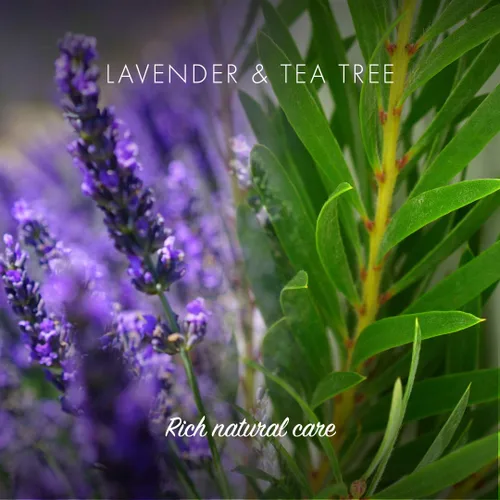 Miniatura 3 de FRIENDLY SOAP Barra de champú de árbol de té de lavanda, 95 GR