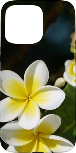 Miniatura 30 de iPhone 12/12 Pro Plumeria Flower - Carcasa amarilla
