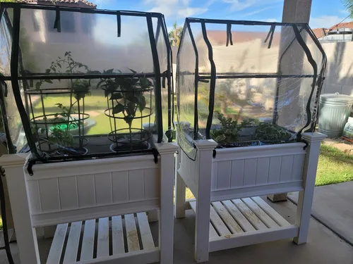 Miniatura 6 de Gardzen Mini invernadero de alta resistencia, portátil, con cremallera, tienda transparente para interiores o exteriores, para plantas, 36.2
