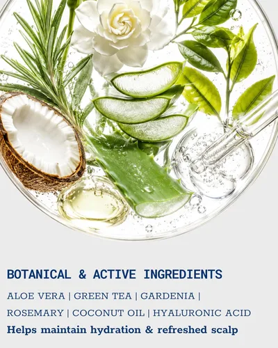 Miniatura 4 de Champú de foliculitis con piritiona de zinc al 1% Champú suave anticaspa para cuero cabelludo con picazón, seco y sensible Nutritivo con aloe