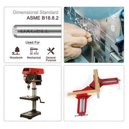Miniatura 5 de uxcell 3 pasadores de 0.787 in (aproximadamente 1/8 de pulgada) de acero inoxidable 304 para litera de madera, pasadores de estante, estantes